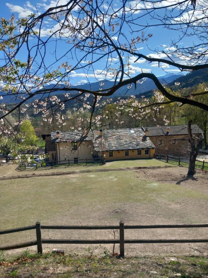 Country House Le Gaie Allegre Villar San Costanzo Екстериор снимка